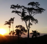 Daintree Holiday Homes - Yurara - Accommodation Brisbane