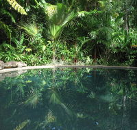 Daintree Rainforest Retreat Motel - Accommodation Brisbane