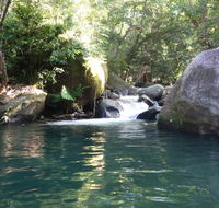 Daintree Secrets Rainforest Sanctuary - Accommodation Brisbane