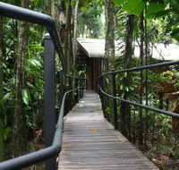 Daintree Wilderness Lodge - Accommodation Brisbane