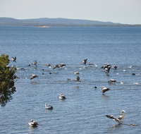 Denmark Waters BB - Accommodation Brisbane