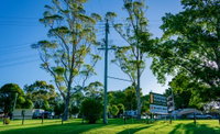 Book Dorrigo Accommodation Vacations Accommodation Brisbane Accommodation Brisbane