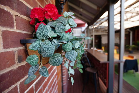 Duke's Inn - Accommodation Brisbane 2