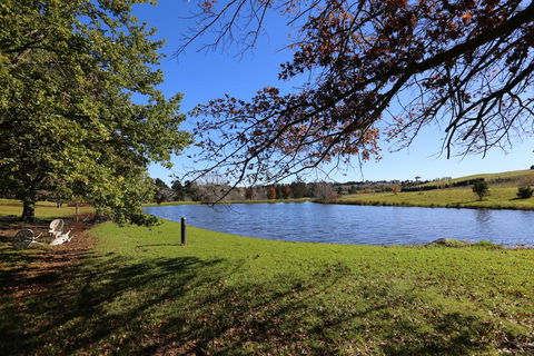 Eling Forest Winery - Accommodation Brisbane 1