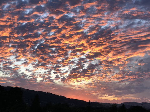 Englewood Ridge - Accommodation Brisbane 2