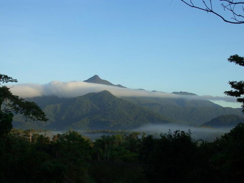 Epiphyte B & B - Accommodation Brisbane 0