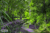 Book Esk Accommodation Vacations Accommodation Brisbane Accommodation Brisbane