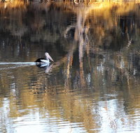 Euston Club Motel - Accommodation Brisbane