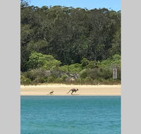 FAIRVIEW COTTAGE 25B - Waterfront accommodation - Accommodation Brisbane