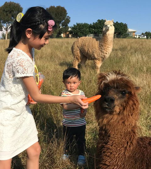 Farm Accommodation - Accommodation Brisbane 3