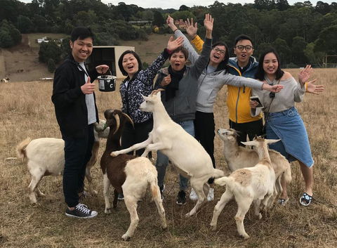 Farm Accommodation - Accommodation Brisbane 1