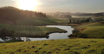 Book Hollisdale Accommodation Accommodation Brisbane Accommodation Brisbane