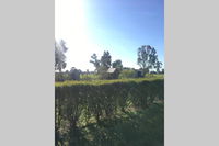 Book Benalla Accommodation Vacations Accommodation Brisbane Accommodation Brisbane