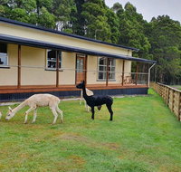 Farm Stay Lowana Strahan - Accommodation Brisbane