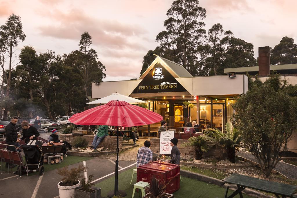 Fern Tree TAS Accommodation Brisbane