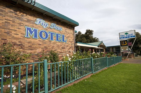 Fig Tree Motel - Accommodation Brisbane 2