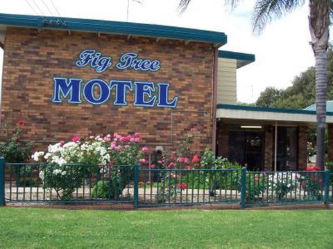 Fig Tree Motel - Accommodation Brisbane 1