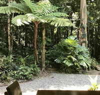 Forest Views Daintree - Accommodation Brisbane