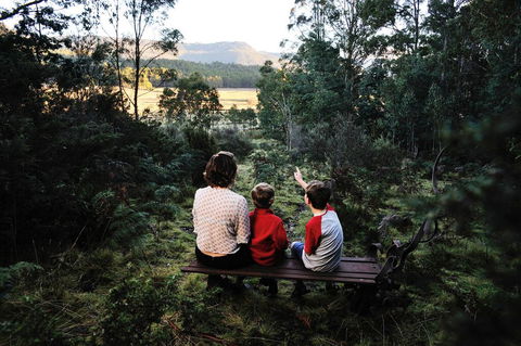 Forest Walks Lodge - Accommodation Brisbane 3