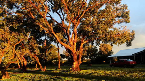 French Island Cottage - Accommodation Brisbane 1