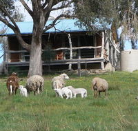 Gaddleen Grove Cottages - Accommodation Brisbane