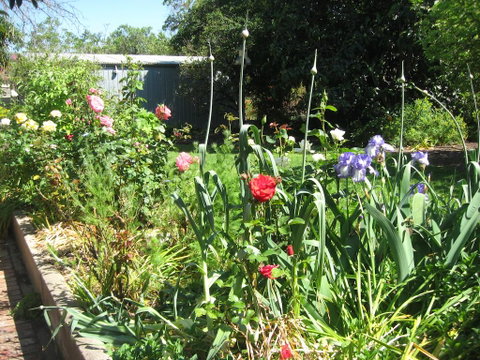 Goat Square Cottages - Accommodation Brisbane 2