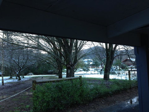 Goldberryaccommodation - Accommodation Brisbane 3