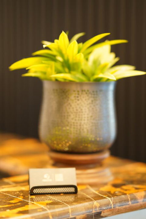 Jephson Hotel & Apartments - Accommodation Brisbane 3