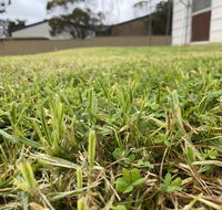 Karoonda Accommodation - Accommodation Brisbane