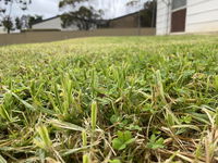 Book Karoonda Accommodation Vacations Accommodation Brisbane Accommodation Brisbane