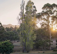 Karribank and the Karri On Bar