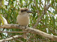 Book Officer Accommodation Vacations Accommodation Brisbane Accommodation Brisbane