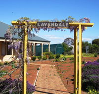 Lavendale Farmstay and Cottages York - Accommodation Brisbane