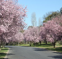 Leo's Rest Bathurst NSW - Accommodation Brisbane