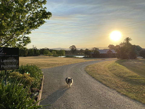 Lilies Luxury Retreats - Accommodation Brisbane 3