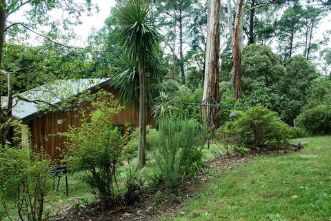 Luxury Forest Retreat - Puffing Billy - Accommodation Brisbane 2