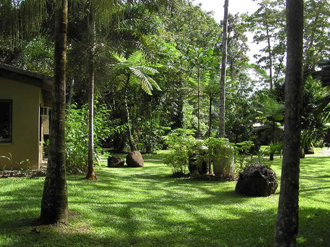 Lync Haven Rainforest Retreat - Accommodation Brisbane 3