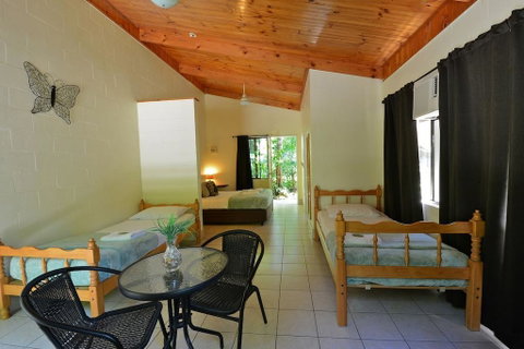 Lync Haven Rainforest Retreat - Accommodation Brisbane 2