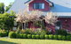 Magenta Cottage - thumb 0