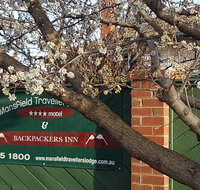 Mansfield Travellers Lodge - Accommodation Brisbane