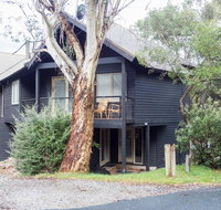 Milkwood - Accommodation Brisbane