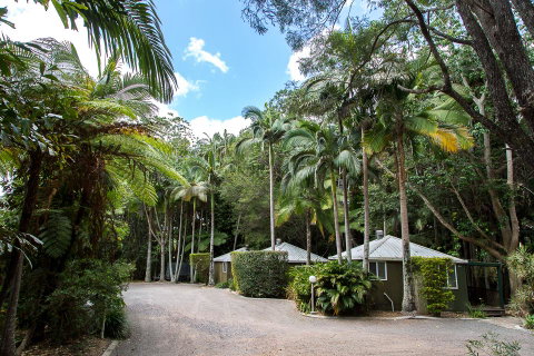 Nambour Rainforest Holiday Village - Accommodation Brisbane 2