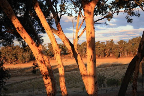 Hotham Ridge Estate - Accommodation Brisbane 30