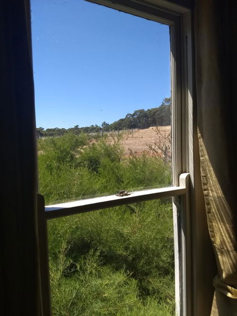 Hotham Ridge Estate - Accommodation Brisbane 8