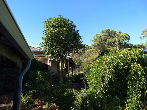 Hotham Ridge Estate - Accommodation Brisbane 5