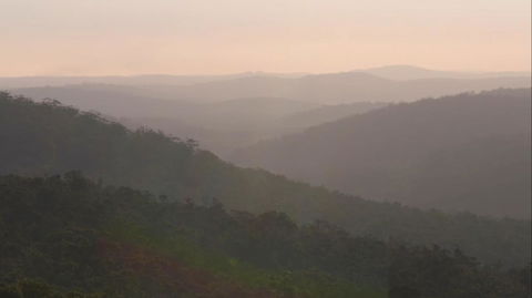 Riverside Retreat Chalets, Walpole - Accommodation Brisbane 31