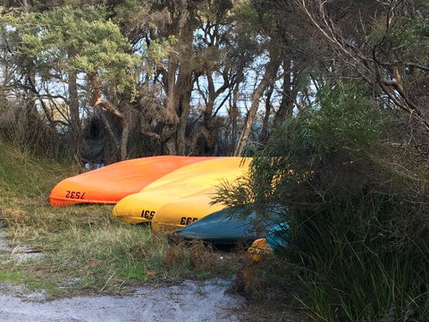 Riverside Retreat Chalets, Walpole - Accommodation Brisbane 20