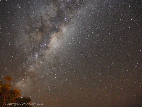 Riverside Retreat Chalets, Walpole - Accommodation Brisbane 26