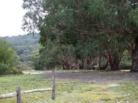 Riverside Retreat Chalets, Walpole - Accommodation Brisbane 17