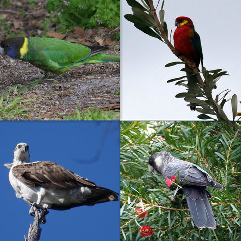 Riverside Retreat Chalets, Walpole - Accommodation Brisbane 24